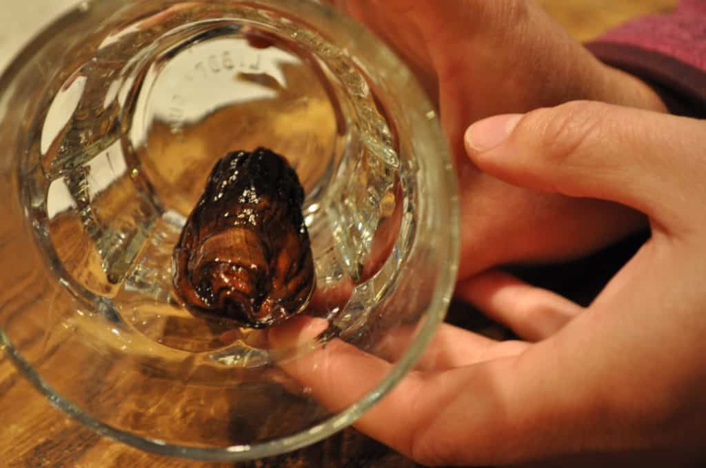 coquetel de dedo humano mundo sombrio