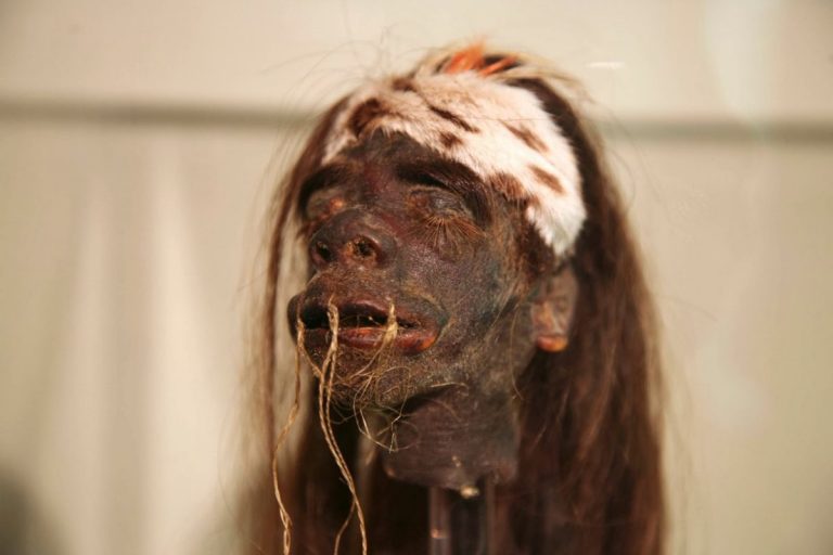Jivaros: conheça mais sobre a tribo encolhedora de cabeças