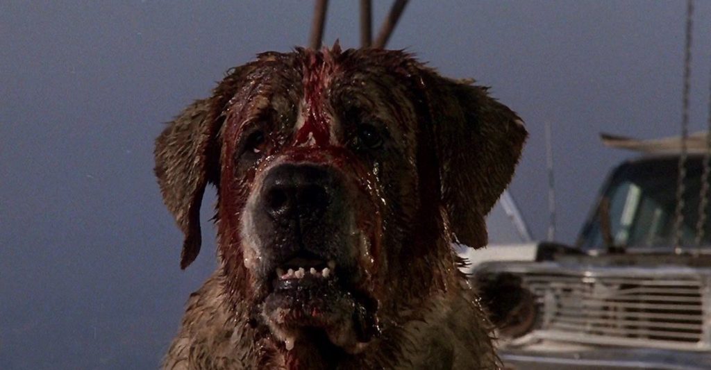 5 filmes de terror de ataques de animais que você precisa assistir