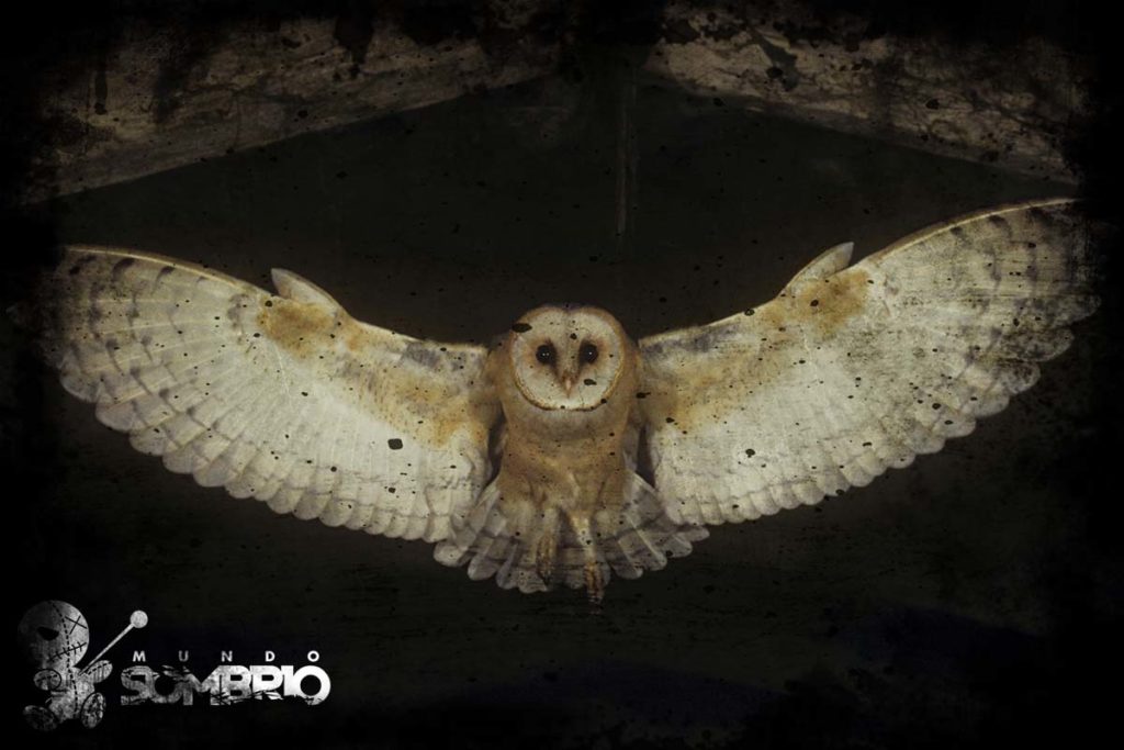 História de Terror: Rasga Mortalha mundo sombrio