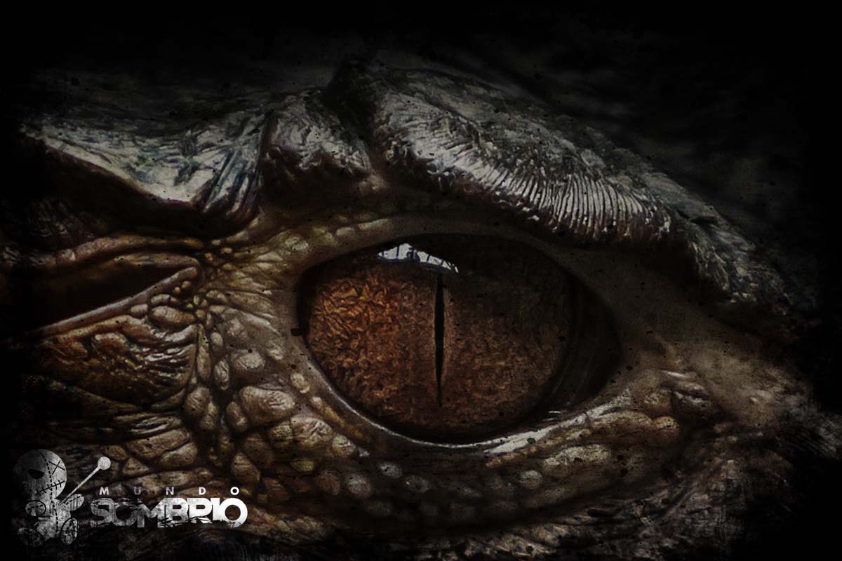 Olhos de crocodilo história de terror