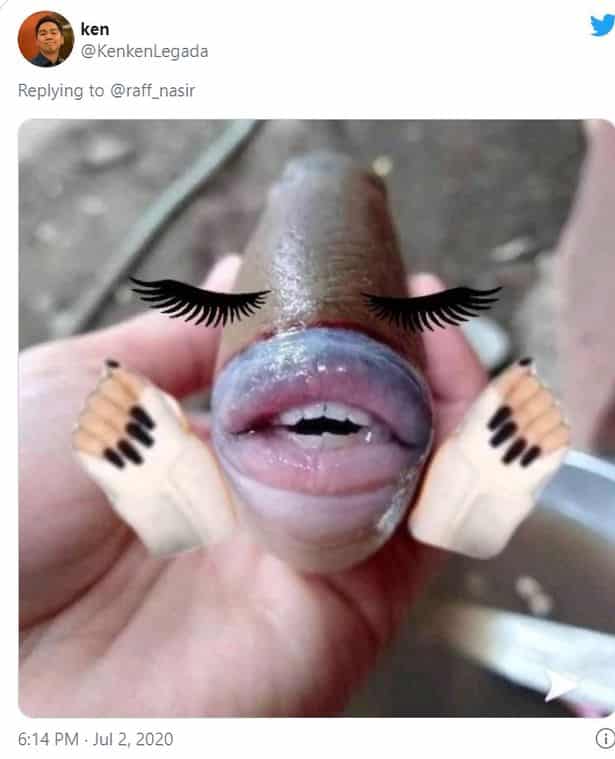 Peixe com 'dentes humanos' é capturado por pescador na malásia 4 0 cen fishteeth 03 • mundo sombrio