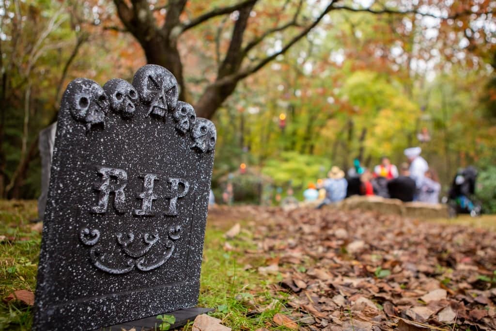 Tim burton corpse bride wedding ideas18 • mundo sombrio