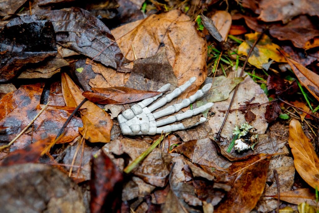 Tim burton corpse bride wedding ideas19 • mundo sombrio