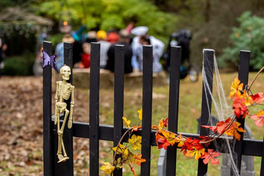 Tim burton corpse bride wedding ideas21 • mundo sombrio