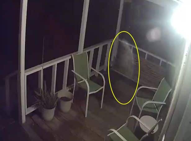 Mulher ve fantasma de seu pai visitando casa para sentar em sua cadeira favorita mundo sombrio 3 • mundo sombrio