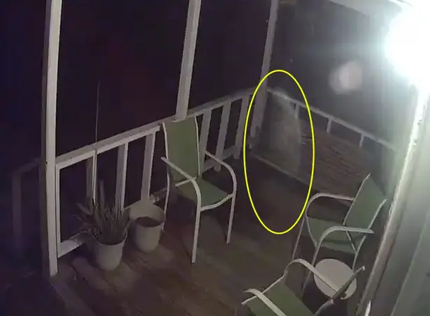 Mulher ve fantasma de seu pai visitando casa para sentar em sua cadeira favorita mundo sombrio 3 • mundo sombrio