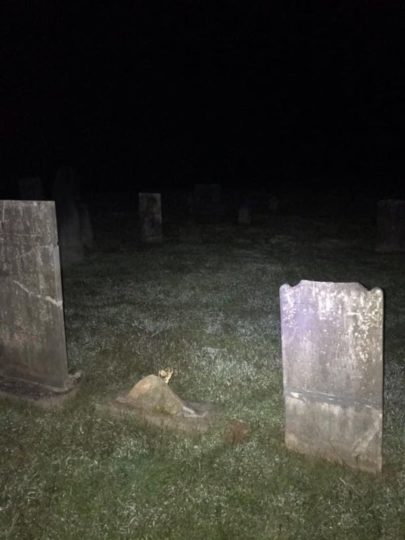 Imagem arrepiante mostra 'fantasma' espreitando sobre túmulo de cemitério 4 0 pay pngraveghost02 • mundo sombrio