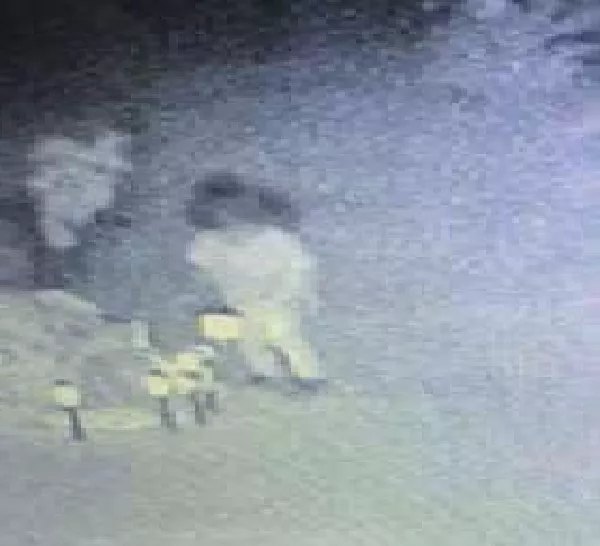 Mãe relata que viu espírito de filha visitando túmulo e mostra imagens 3 Menina em tumulo • mundo sombrio