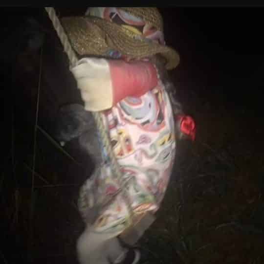 Boneca sinistra e misteriosa em balanço assusta vila de pescadores 4 Boneca sinistra e misteriosa em balanço assusta vila de pescadores