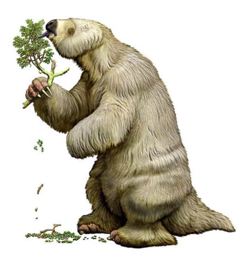 A lenda do mapinguari 5 Megatherium