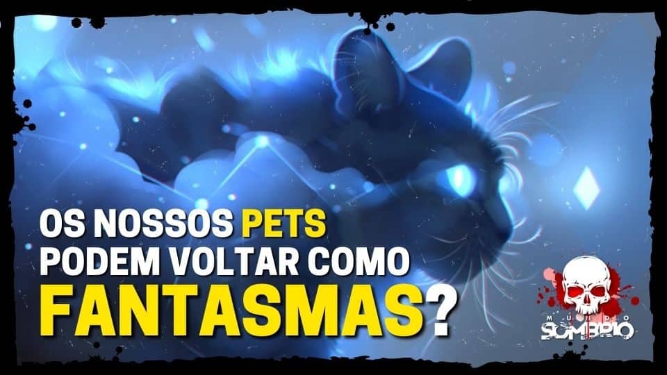 Os nossos Pets podem voltar como Fantasmas