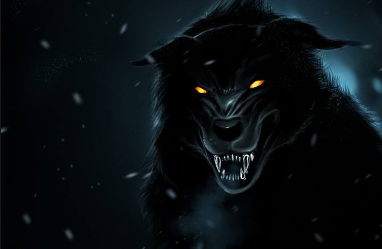 Lobo negro grande raivoso