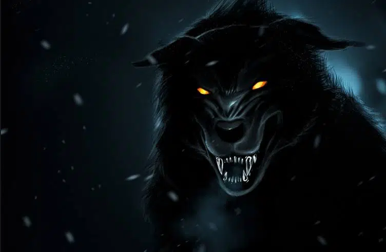 Lobo negro grande raivoso