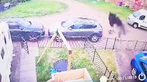 Mulher chama padre para abençoar casa após avistar 'figura fantasmagórica negra' pelas câmeras de segurança 3 0 thp chp 250721slug 4094jpg • mundo sombrio