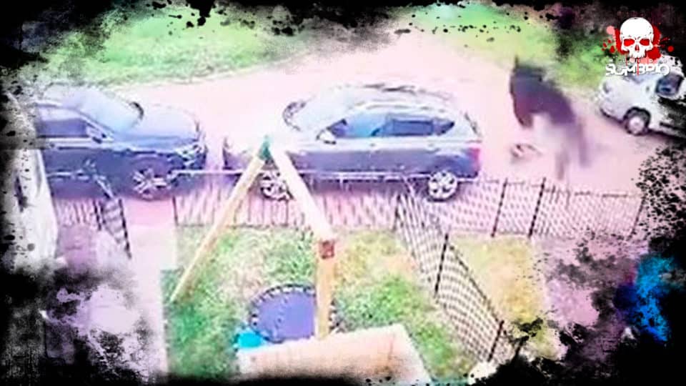 Mulher chama Padre para abençoar casa após avistar 'figura fantasmagórica negra' pelas Câmeras de Segurança