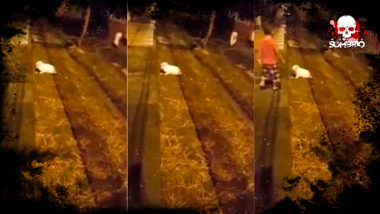 Pernas correndo sem corpo são capturadas em vídeo misterioso