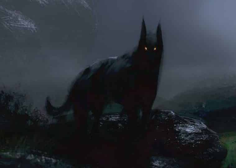 Black dog2 • mundo sombrio