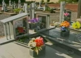 Leonice fitz, a menina poltergeist 8 09 • mundo sombrio