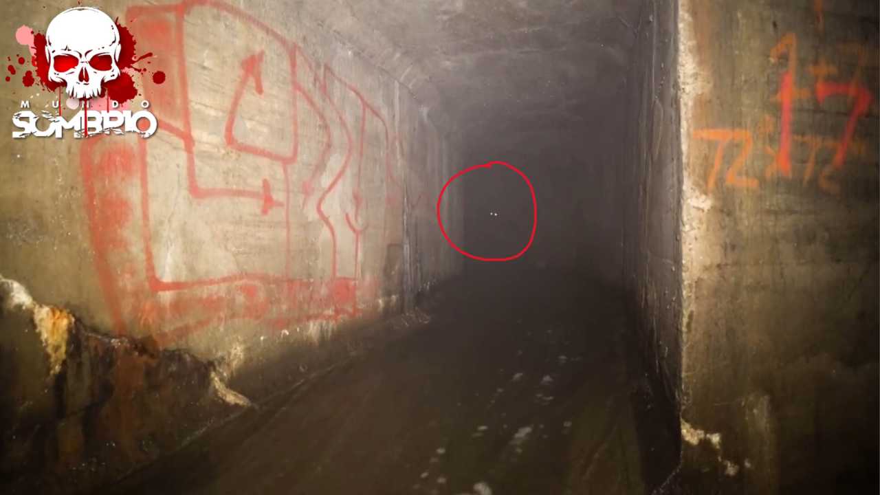Urbex hill encontra criatura misteriosa o espreitando dentro de um túnel abaixo de floresta