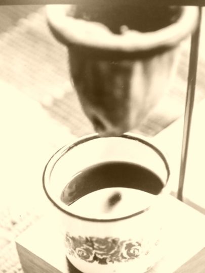 A casa de dona geralda 6 312099417 1120338412184010 5060139255979983258 n • mundo sombrio